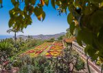 5 jardins para visitar na Ilha da Madeira Jardim Botânico
