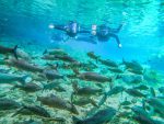 Nascente-Azul---flutuacao--1-