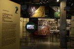 Museu do Futebol abre exposição que explora relações entre Modernismo e o esporte image00003