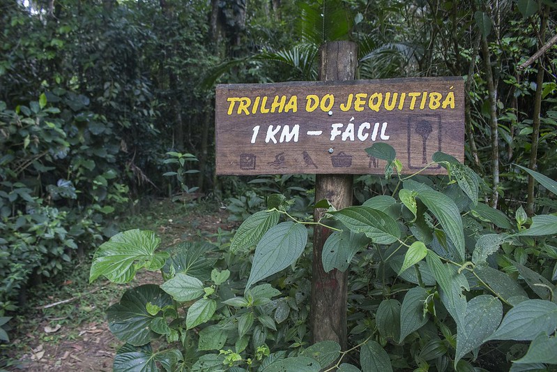 trilhas no Litoral Norte de São Paulo