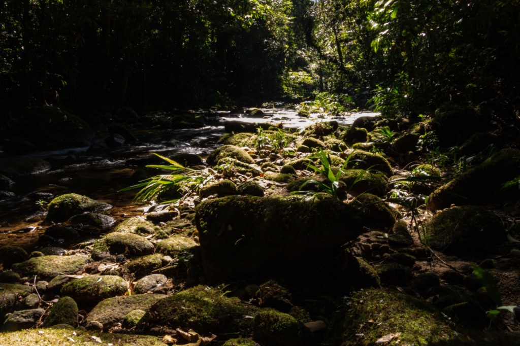 trilhas no Litoral Norte de São Paulo