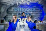 Conheça as atrações que estão a caminho de Olímpia (SP) Dreams Ice Bar olímpia