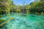 6 cenários naturais maravilhosos em Bonito e região Nascente Azul (1) - foto por divulgação_Nascente Azul