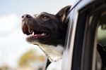 andrew-pons-QsmGE0P2-B8-unsplash