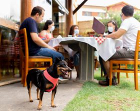 Festival Eco gastronômico de Socorro