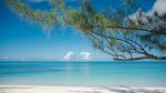 Protocolos facilitados, mais voos e novas atrações agitam as Bahamas em setembro unnamed - 2022-09-08T114839.655