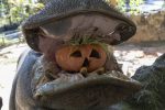 Zoo SP terá passeios temáticos de Halloween Hipopótamo Sininho_Crédito Paulo Gil_ Zoo SP