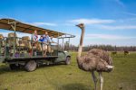 Safari Wilderness Ranch 1
