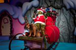 Celebração de Natal do Universal Orlando começa no próximo sábado Universal Orlando’s Holidays Celebration Kicks Off this Saturday