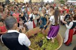 Festa da Uva retorna em Jundiaí após dois anos 3 (1)