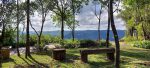 Parque Olivas de Gramado abre nova área para visitação Bosque-Encantado-Olivas-1