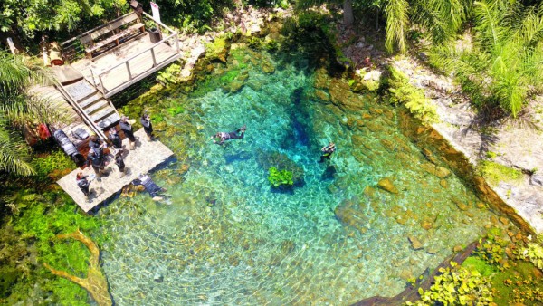 Verão em Bonito: motivos para visitar a Nascente Azul