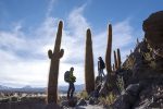 Rede Tierra Hotels anuncia novidades no Chile Tierra Atacama