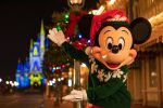 Flórida: confira destaques das celebrações de Natal pelo estado Walt Disney World Resort Reimagines Holiday Traditions for 2020