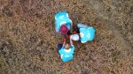 KLM planta seis mil árvores na Amazônia após desafio de ciclismo unnamed - 2022-12-13T105116.139