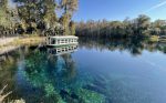 [D] Silver Springs - foto por Patrícia Chemin