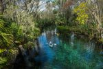 Rainbow River (9) - foto por Jason Frankle and Scott Wesson_VISIT FLORIDA