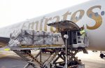 Emirates lança ponte aérea humanitária para Turquia e Síria unnamed