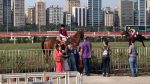 Jockey Experience é nova opção de lazer com as crianças em São Paulo Jockey Experience