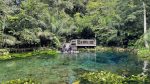 Dia Mundial da Água: conservação ambiental na Nascente Azul Nascente Azul - flutuação (1) - foto por Patrícia Chemin