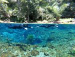 DCIM100GOPROGOPR8856.JPG