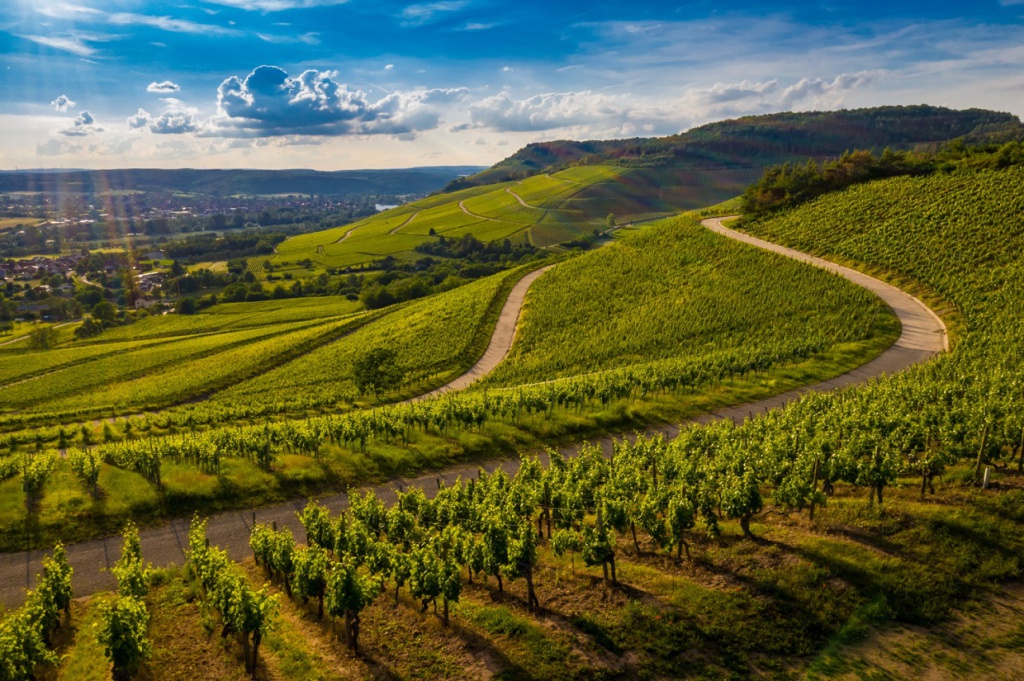 vinícolas em Santa Catarina