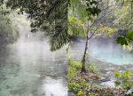 Baixas temperaturas em Bonito criam visual mágico na Nascente Azul Nascente Azul - flutuação inverno (5)