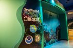 SeaWorld Orlando inaugura instalação dedicada à conservação de corais Rescue Center 2