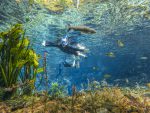 Bonito: Nascente Azul anuncia promoções para agosto DCIM100GOPROGOPR2683.JPG