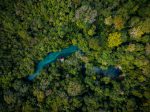Bonito: Nascente Azul é o atrativo mais visitado do destino Nascente Azul - flutuação (2)