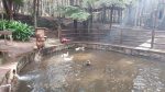 Monte Verde é destino para relaxar no feriado Parque-Oschin--1-