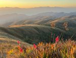 Serra da Bocaina reserva paisagens singulares para contemplação Pico natureza