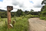 Estrada Real é reconhecida como monumento nacional 40824643082_520de6deeb_k