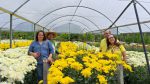 Rota das Flores é nova atração no Brejo Paraibano 20231130_120531