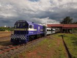 Trem Republicano comemora aniversário e tem o melhor ano desde a inauguração Copia-de-DJI-0049