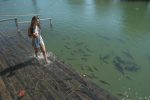 Bonito: motivos para visitar a Nascente Azul nas férias de verão Nascente Azul - balneário