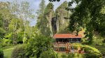6 parques de natureza para visitar em Campos do Jordão Bambuí (2) - foto por Patrícia Chemin