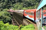 Trem-da-Serra-do-Mar-Paranaense-6