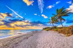Flórida: Palm Beaches registra recorde de visitantes em 2023 palm beaches