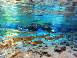 Baixa temporada é boa opção para visitar Bonito e a Nascente Azul Nascente Azul - flutuação (2)