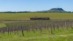 Trem-do-Pampa-no-Pampa--47