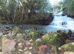 Campo Alegre se destaca como um dos principais destinos contemplativos do Brasil e tem Reisen Clube como âncora WhatsApp Image 2024-06-10 at 15.16.30