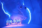 Olímpia inaugura o maior bar de gelo da América Latina unnamed - 2024-07-12T151209.526
