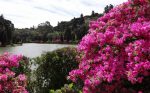 Serra Gaúcha segue cheia de atrativos na primavera Serra Gaúcha_Lago Negro em Gramado_Divulgação