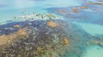 Descubra o Litoral Norte de Alagoas: dicas para explorar a Costa dos Corais praia-Ipioca-14 (1)