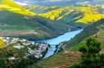 AmaWaterways lança cruzeiro com 'Toque Latino' em 2025 unnamed - 2024-09-26T160330.788