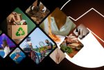Reisen Clube lança plataforma de experiências e impulsiona práticas sustentáveis Reisen Clube_Divulgação