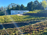 Vila Galé inova e inaugura adega na região dos Vinhos Verdes, em Portugal Vila Galé_Divulgação