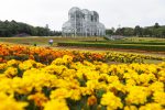 Curitiba é considerada um dos melhores destinos do mundo para se visitar Curitiba_Crédito IMT-Pedro Ribas- SMCS