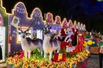 Natal de Holambra by Expoflora é opção de passeio no interior de São Paulo Natal de Holambra by Expoflora 1